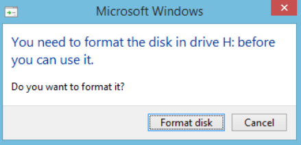 You Need to Format the Disk Before You Can Use It